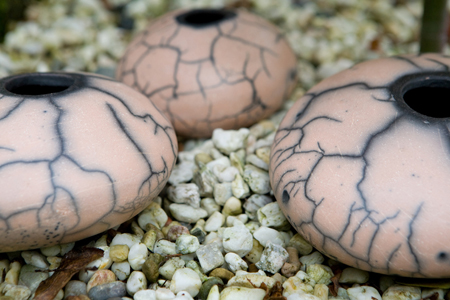 vaas-14-2